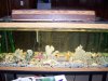 FishTank.jpg