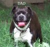 dad bust.jpg