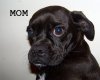 mom suki1.jpg
