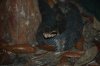 DSC_0318.JPG
