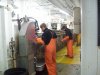 100_0550.JPG