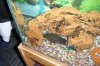 DSCF5503.JPG