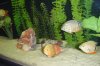 DSCF5611.JPG