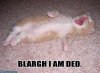 Blargh_I_Am_Dead.jpg