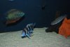 DSC_0076.JPG