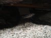 DSC08170.JPG