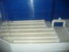Todays bids 027.JPG