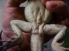 100_1167.JPG