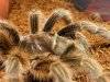 Animal Pics Dec 19th 007 (Large).jpg