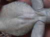 100_1196.JPG