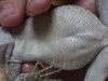 100_1192.JPG
