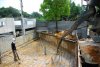 DSC_0194.JPG