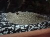 DSC01665.JPG