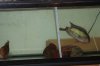 DSC0177.jpg DSC0177.jpg