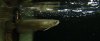 DSCF0059-good-2.jpg