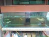 DSC00799.JPG