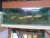 DSC00804.JPG