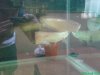 DSC00809.JPG