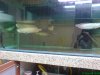 DSC00810.JPG