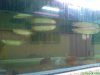 DSC00812.JPG