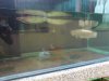 DSC00813.JPG