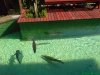 DSC00824.JPG
