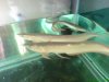 DSC00834.JPG