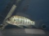 DSCN3857.JPG