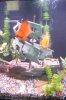 DSCF6179.JPG