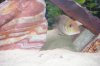 DSCF6162.JPG