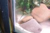 DSCF6170.JPG