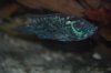 DSC_0102.JPG
