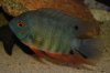 DSC_0021.JPG