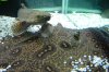 DSC03501.JPG