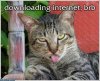 Downloading_Internet.jpg