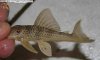 20081223_2242.JPG 20081223_2242.JPG