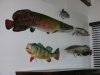 DSCN5738.JPG
