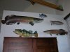 DSCN5739.JPG