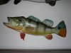 DSCN5741.JPG