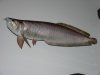 DSCN5745.JPG