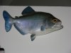 DSCN5746.JPG
