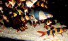 Loach-Orange.JPG
