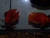 100_1675.jpg