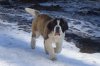 DSC01623.JPG