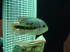 DSC01589.JPG DSC01589.JPG