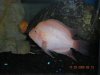 DSCN0247.jpg