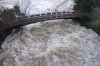 flood pics 009.jpg