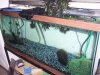 75gal 001.jpg