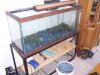75gal 002.jpg 75gal 002.jpg