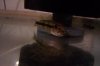 100_9569.JPG